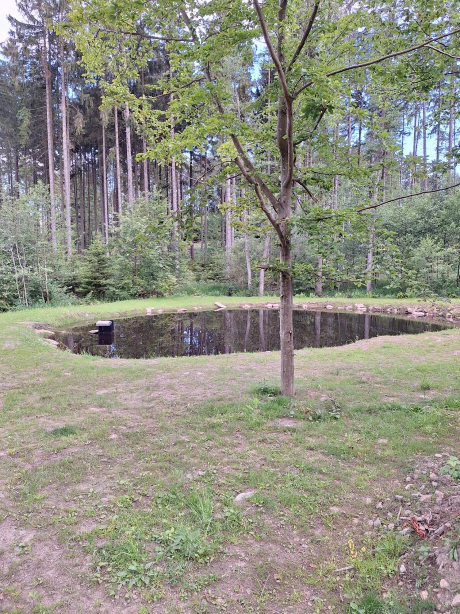 Apartamento Arktik Lesni Mlyn Novy Rychnov Exterior foto