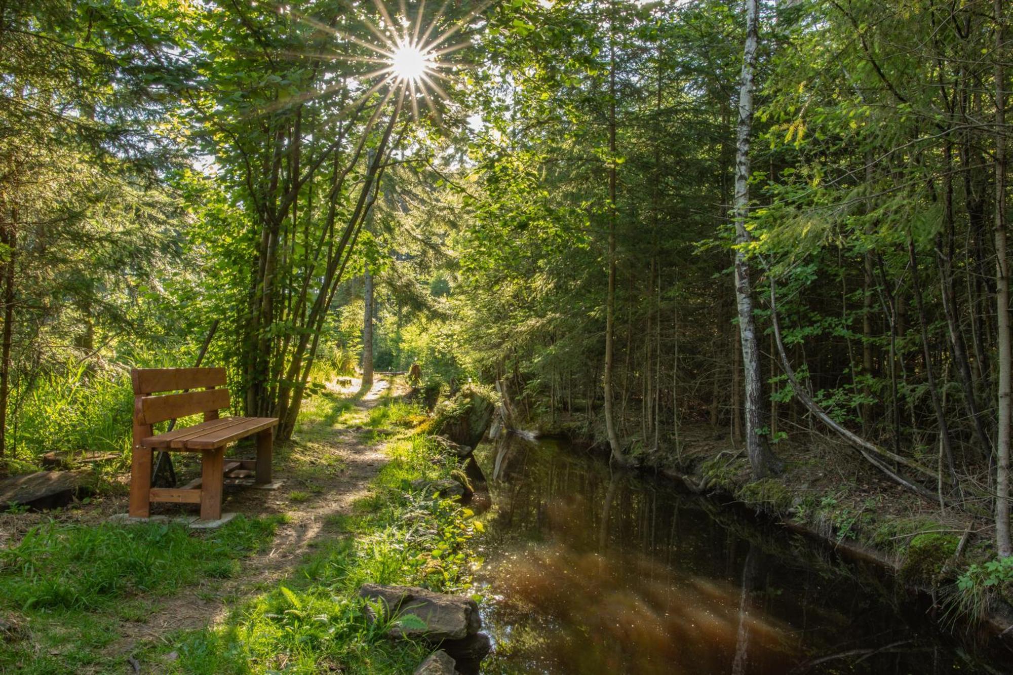 Apartamento Arktik Lesni Mlyn Novy Rychnov Exterior foto